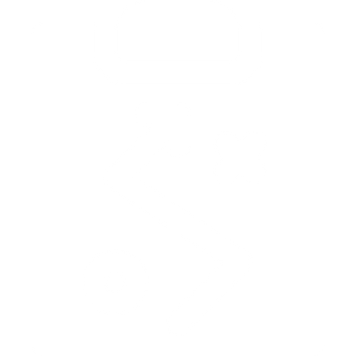 Roadmap Icon